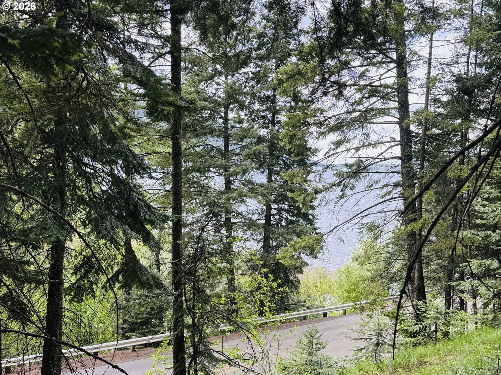 Primary listing photo, 0 FOREST DELL RD, Joseph, OR, 97846