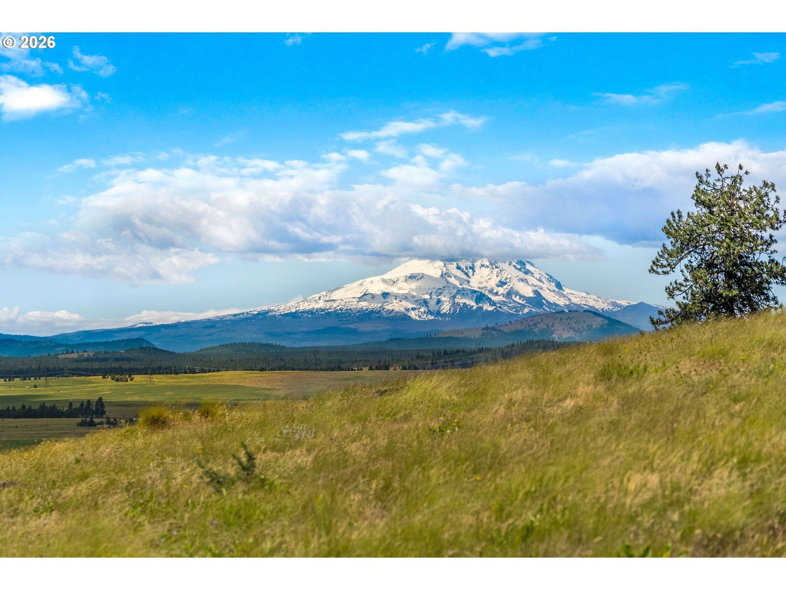 Primary listing photo, EAGLE DR #Lot 18, Goldendale, WA, 98620