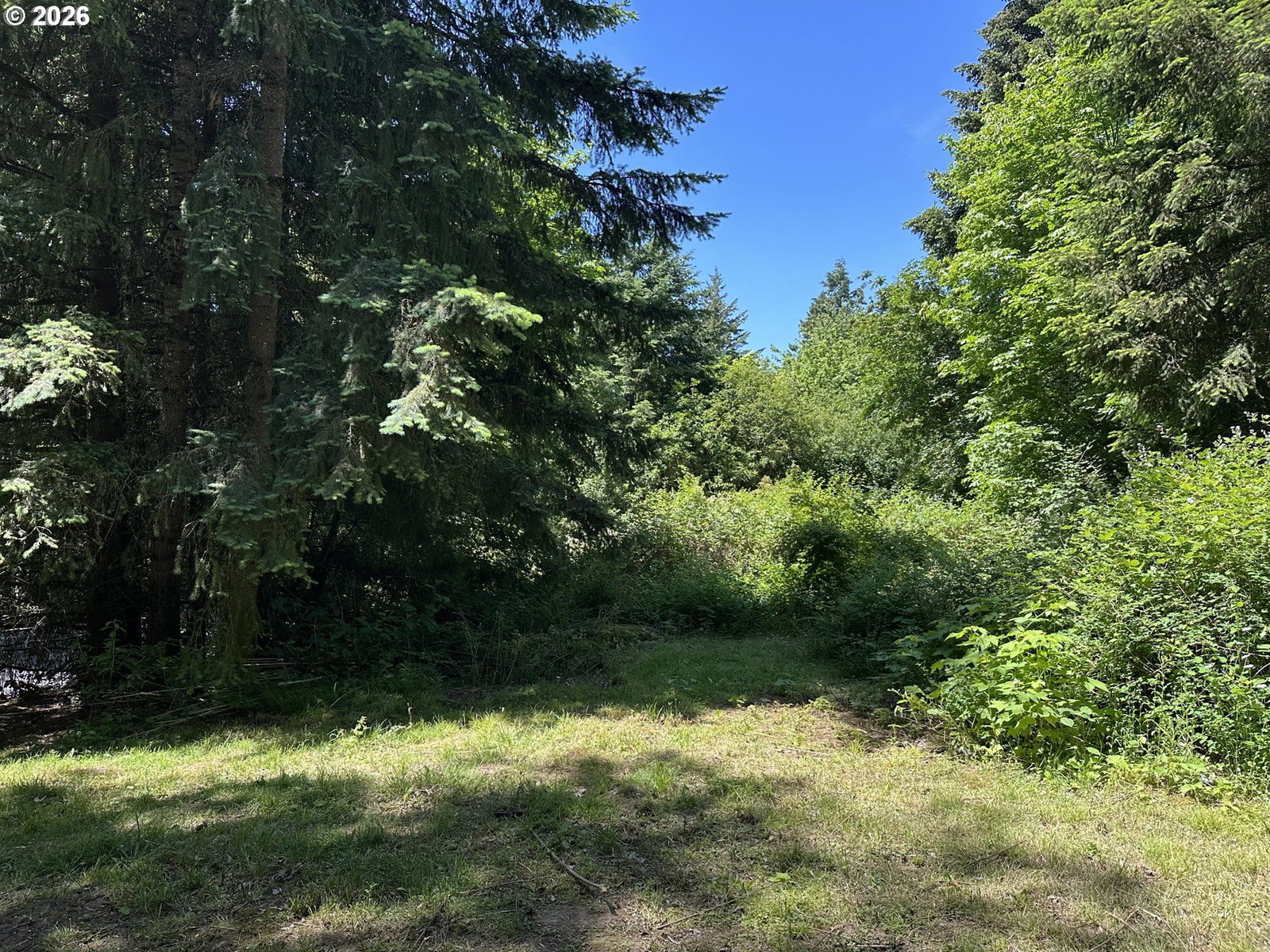 Primary listing photo, 3504 NE 119TH ST, Vancouver, WA, 98686
