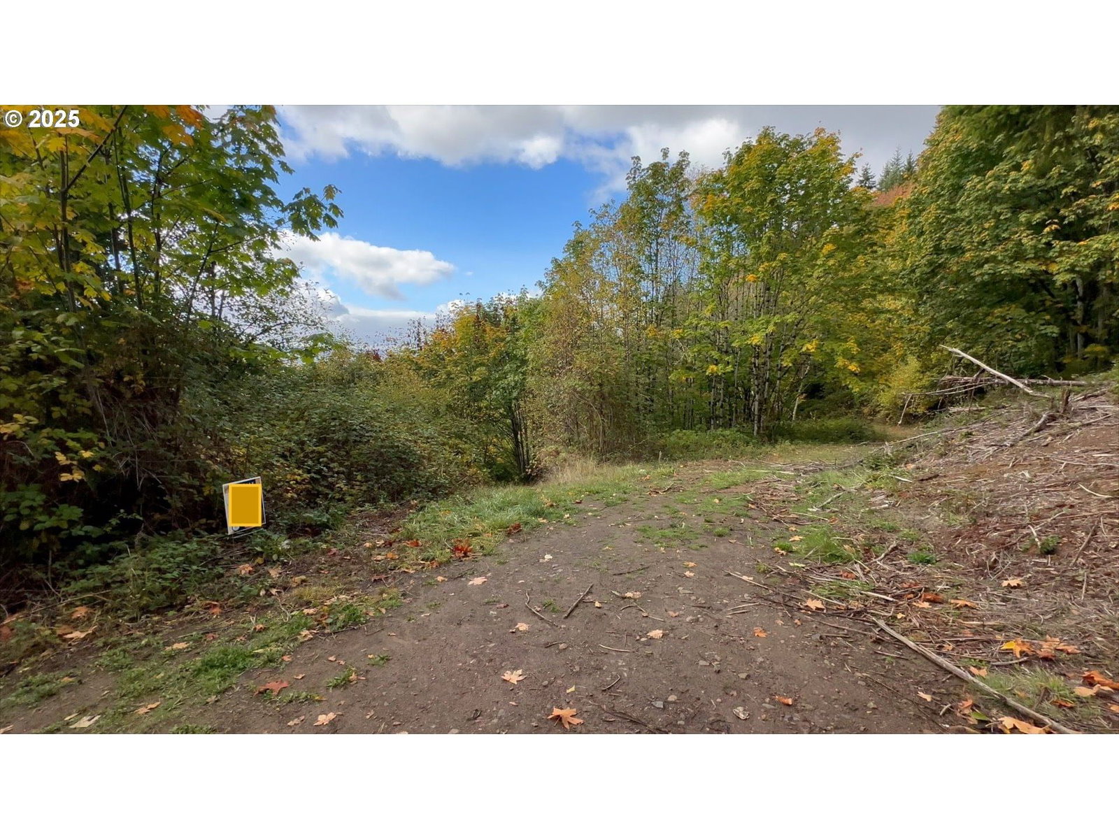 Primary listing photo, 239 Columbia View DR, Woodland, WA, 98674