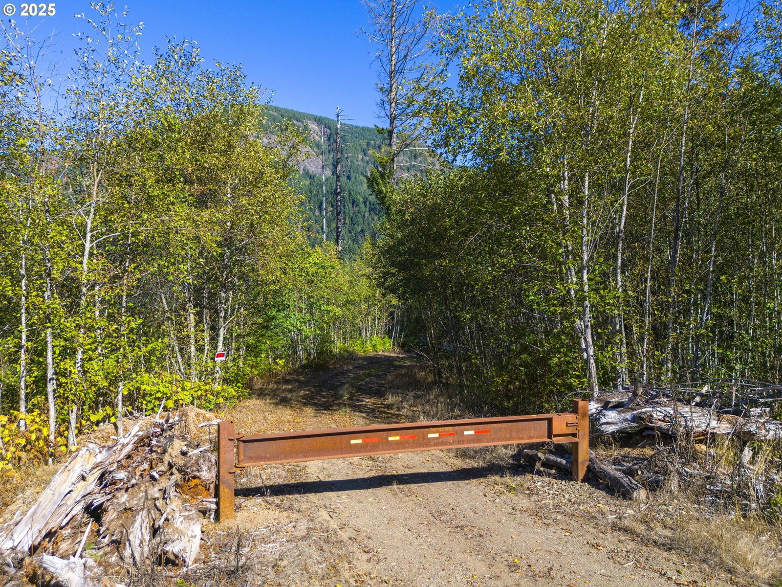 Primary listing photo, 0 Tin Shack Rd, Nehalem, OR, 97131