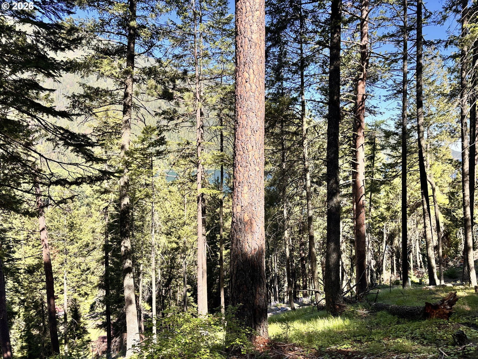 Primary listing photo, ARAPAHOE RD, Joseph, OR, 97846