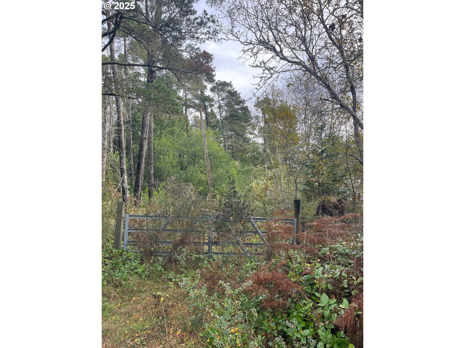 Primary listing photo, Prosper, Bandon, OR, 97411
