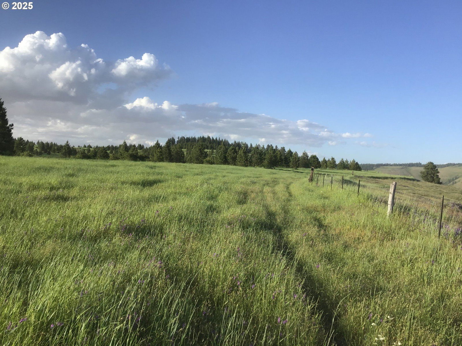 Primary listing photo, Hansell Road, Weston, OR, 97886