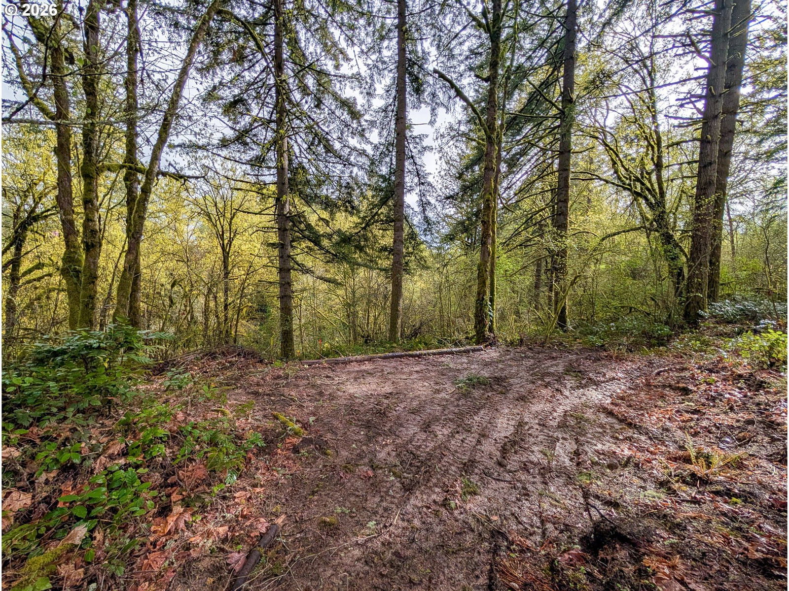 Primary listing photo, 000 NE FINALBURG RD, La Center, WA, 98629