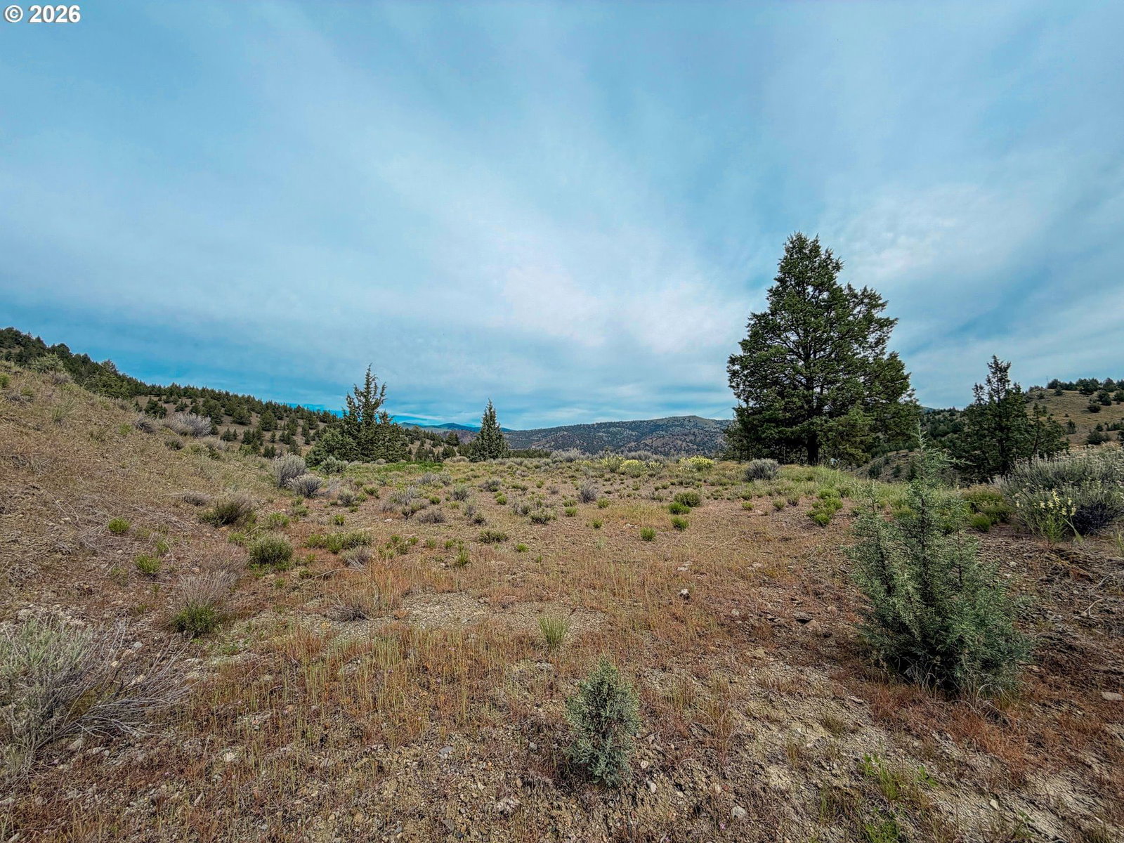 Primary listing photo, Luce Creek RD, John Day, OR, 97845