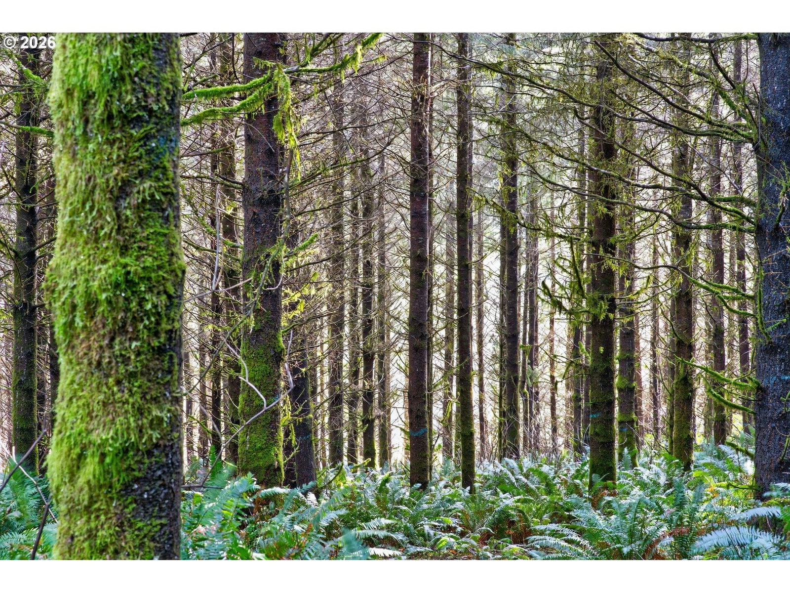 Primary listing photo, 0 S Hwy 42, Coquille, OR, 97423