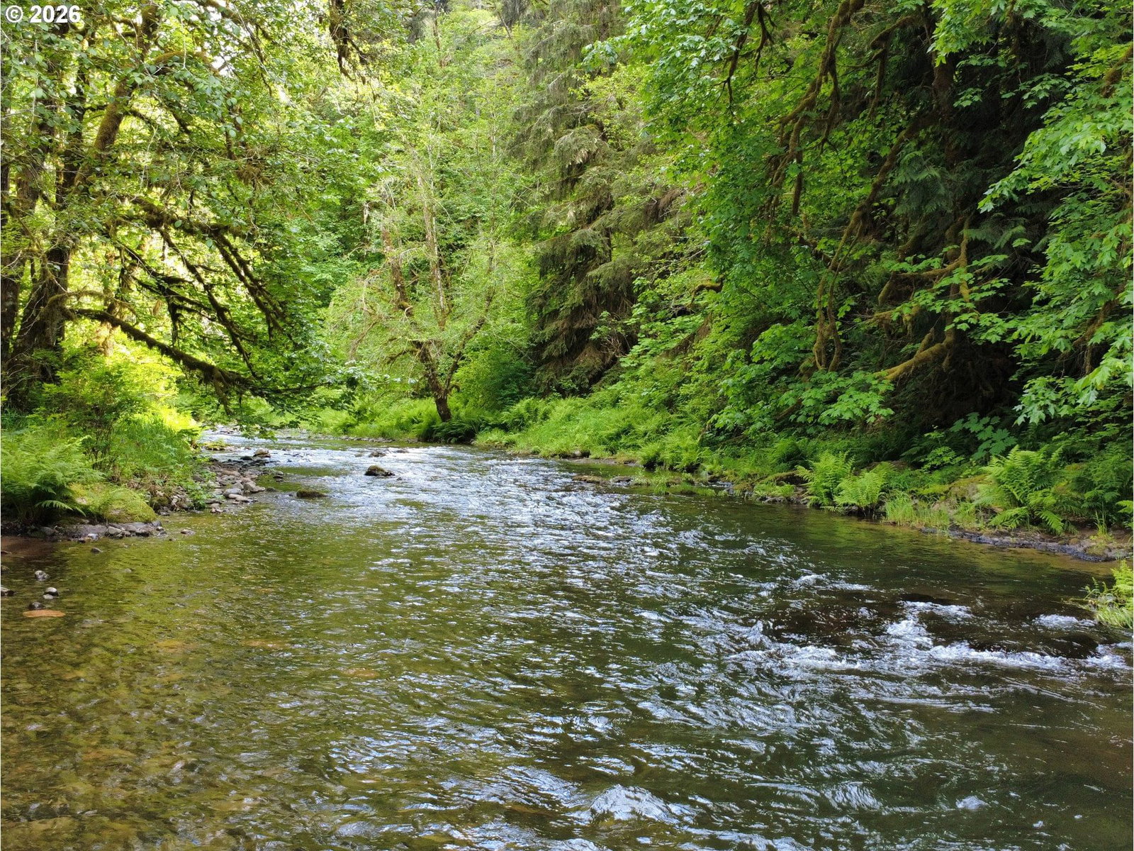 Primary listing photo, Rose Valley RD, Kelso, WA, 98626