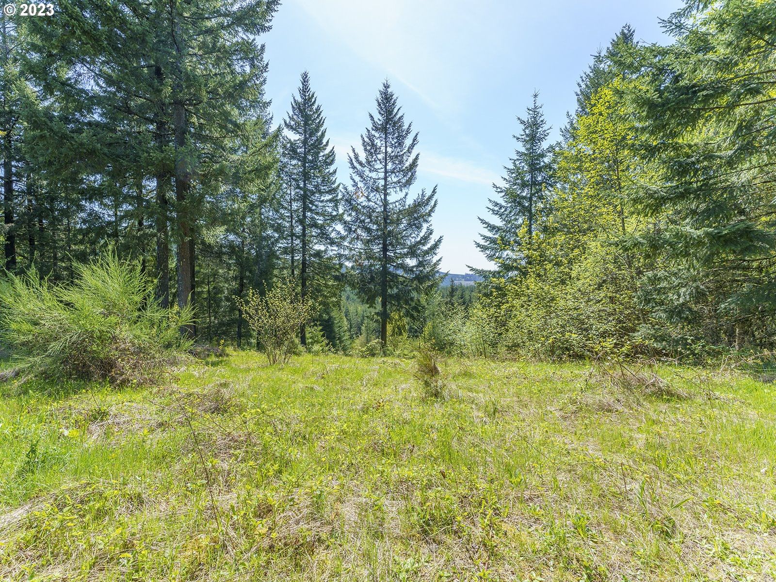 Primary listing photo, 25308 NW MOUNTAIN DR, Banks, OR, 97106