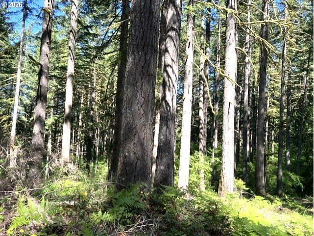 Primary listing photo, Tunnel Tract Parcel3, Banks, OR, 97106