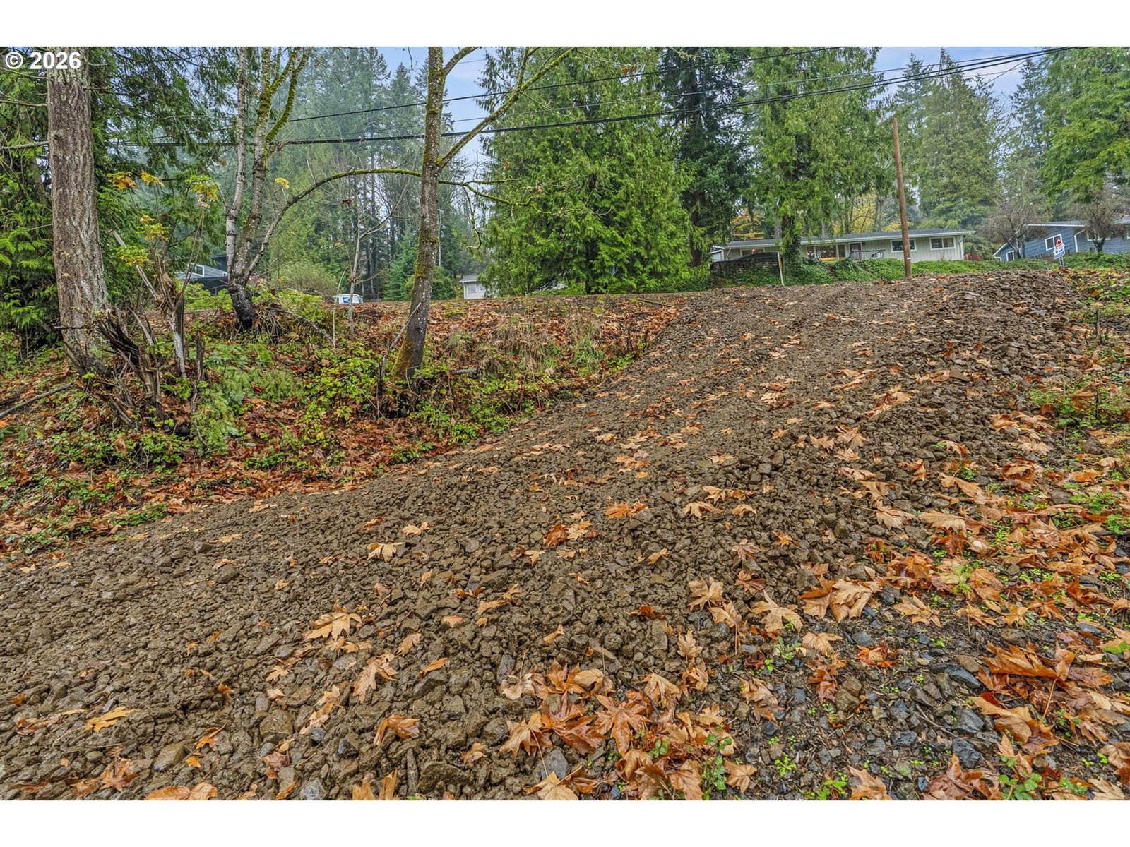 Primary listing photo, 4043 SUNSET WAY, Longview, WA, 98632