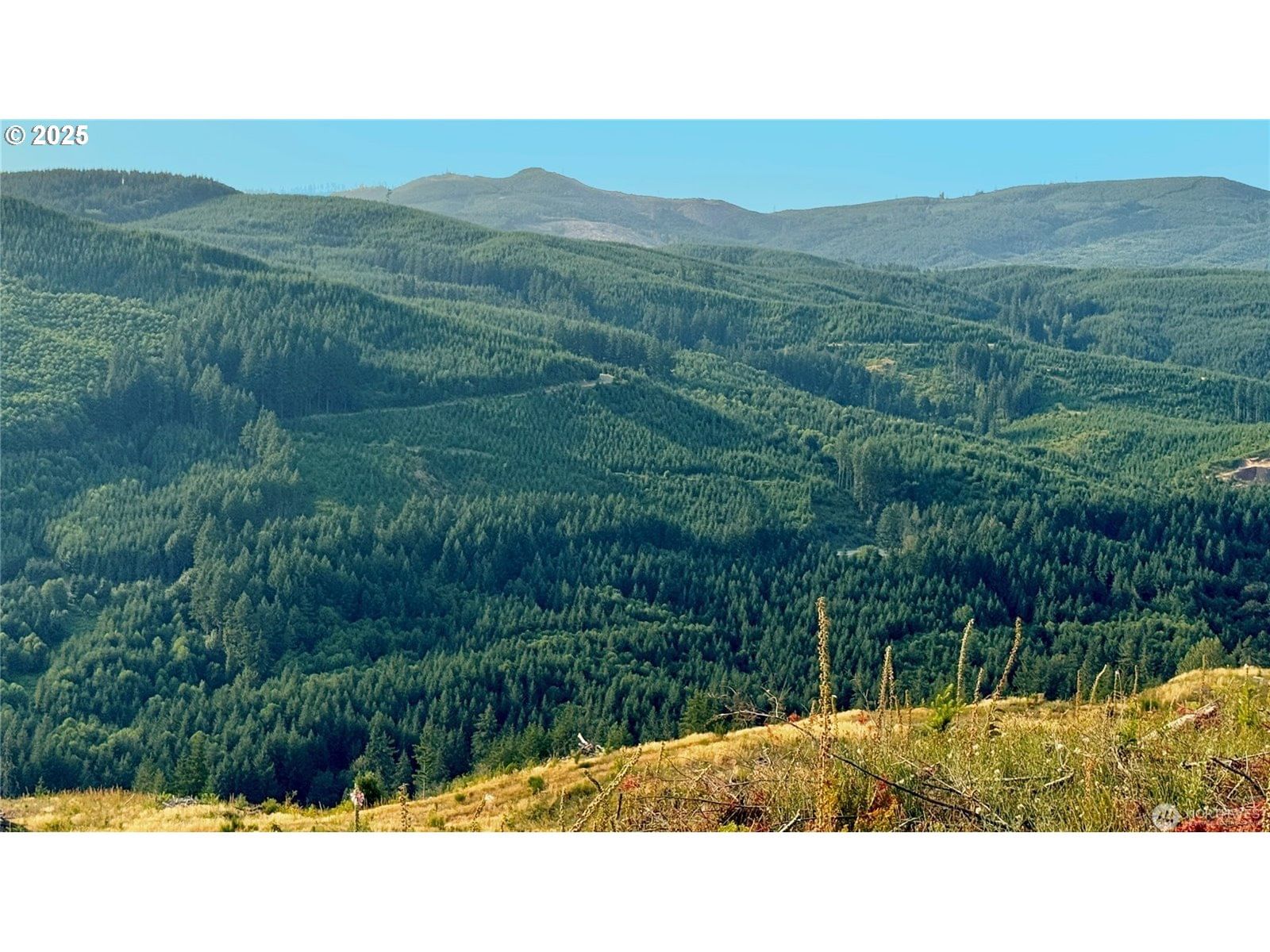 Primary listing photo, 3727 Little Kalama River RD #H, Woodland, WA, 98674