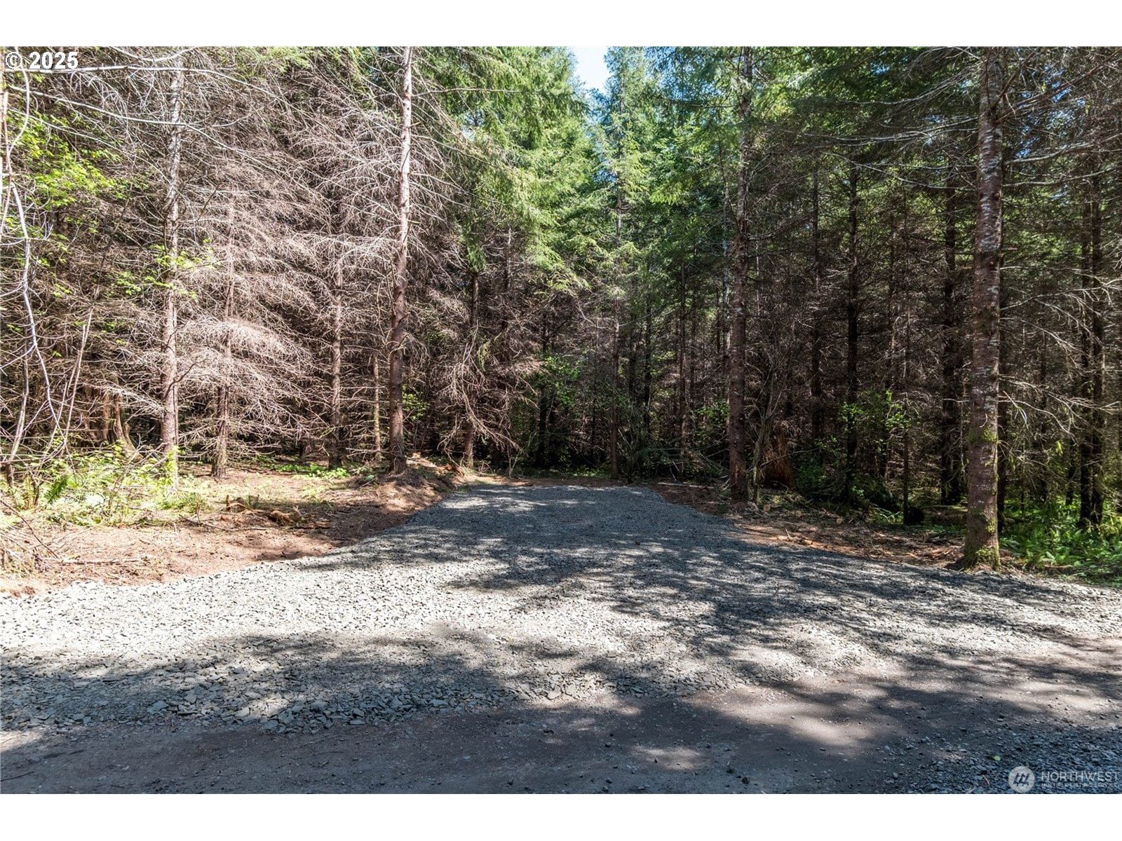 Listing photo 1 of 1
