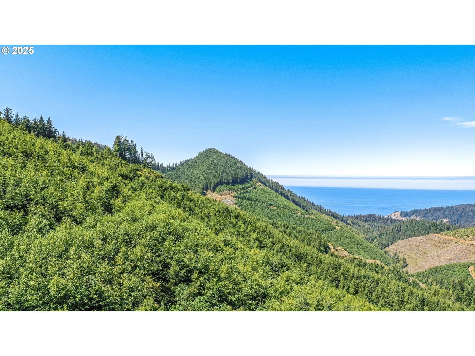 Primary listing photo, HWY 101 BLVD, Nehalem, OR, 97131