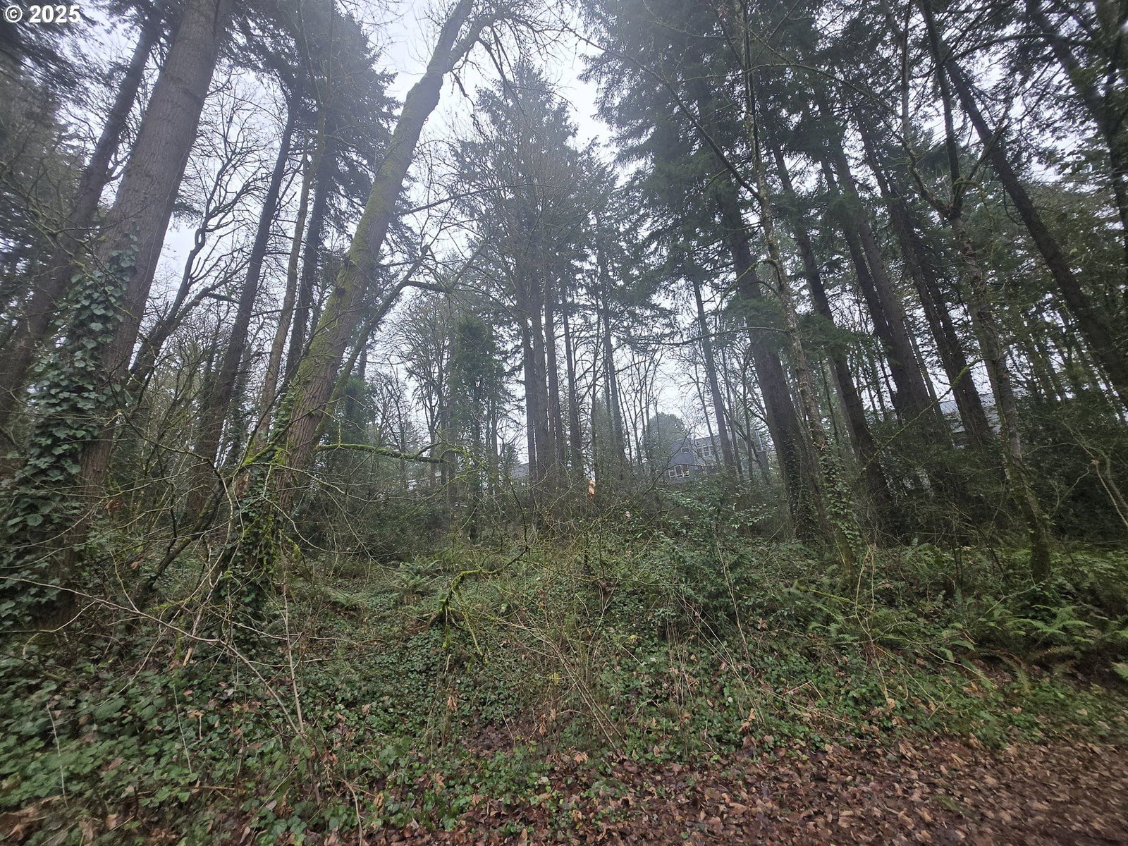 Primary listing photo, SW LEVY CODE 001, Portland, OR, 97239