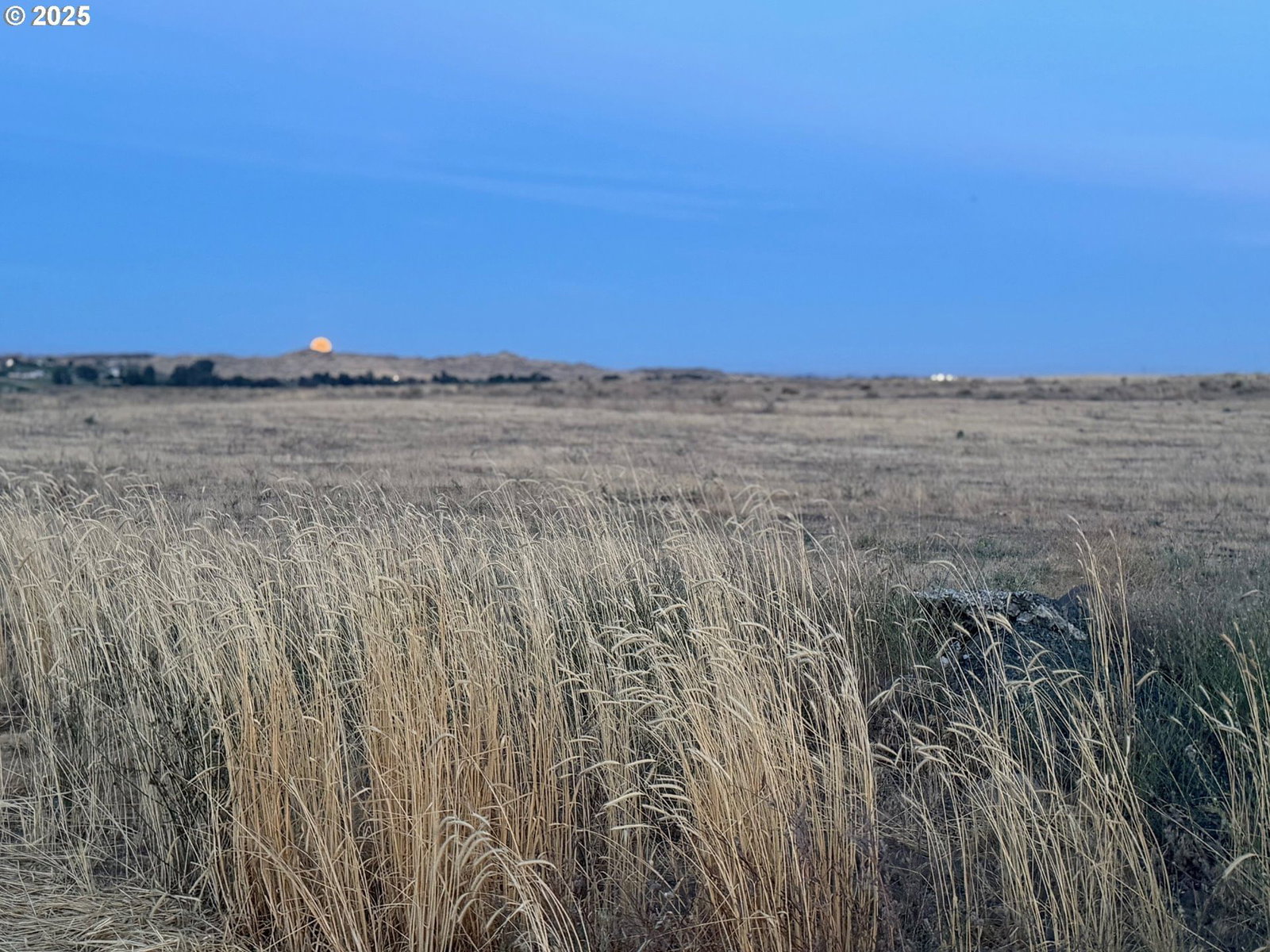Primary listing photo, 5N2820-00-02205, Umatilla, OR, 97882
