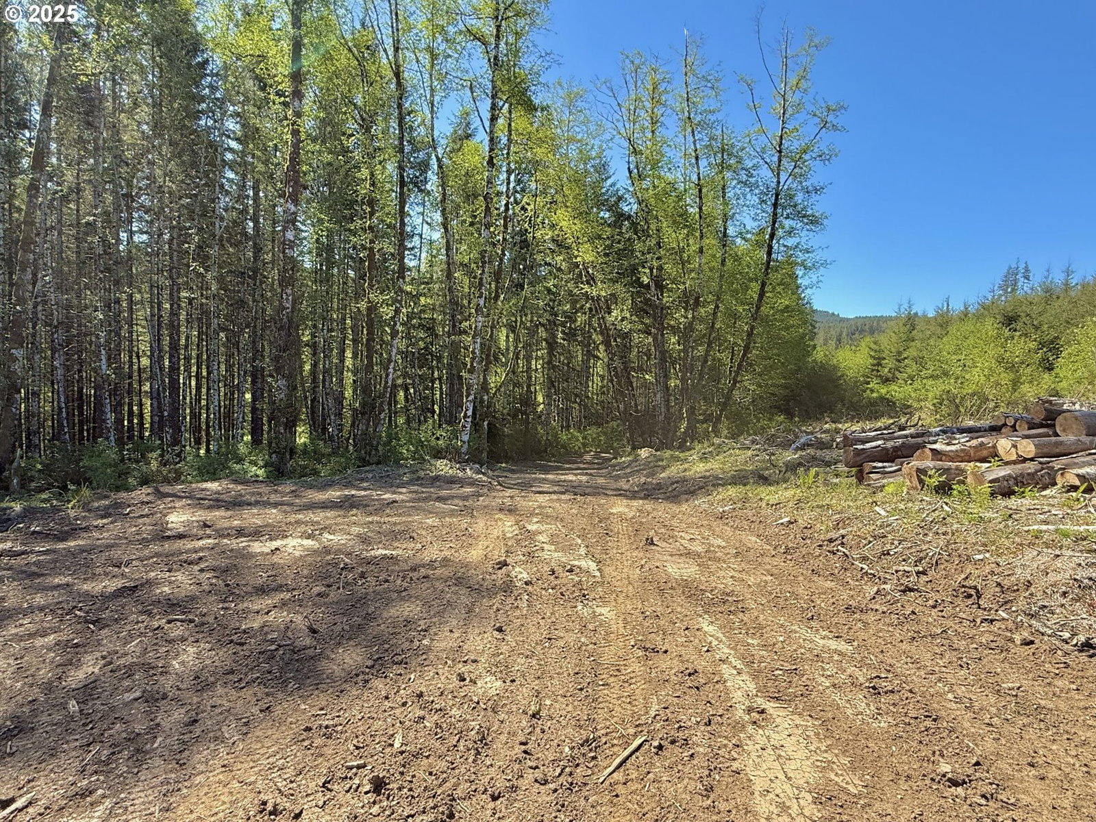 Primary listing photo, 72000 Clatskanie Heights RD, Clatskanie, OR, 97016