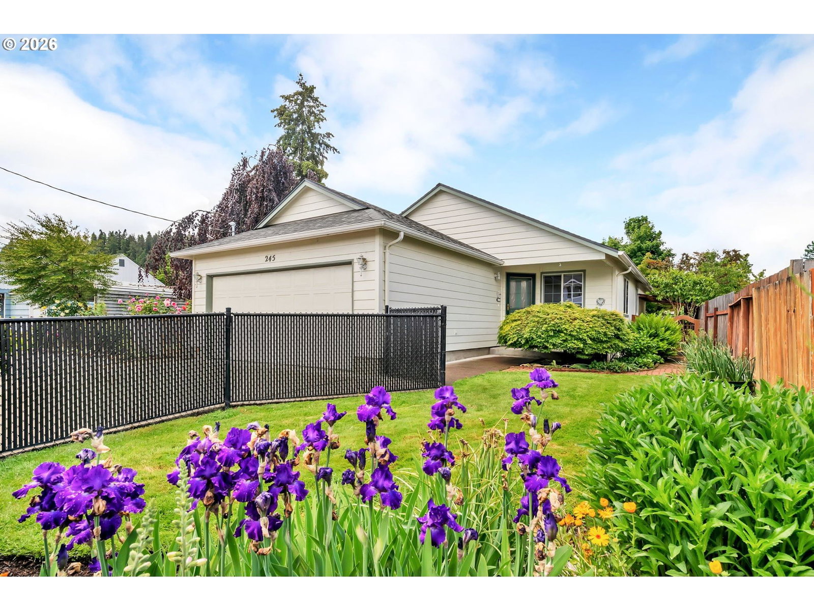 Primary listing photo, 245 S 2ND ST, Creswell, OR, 97426
