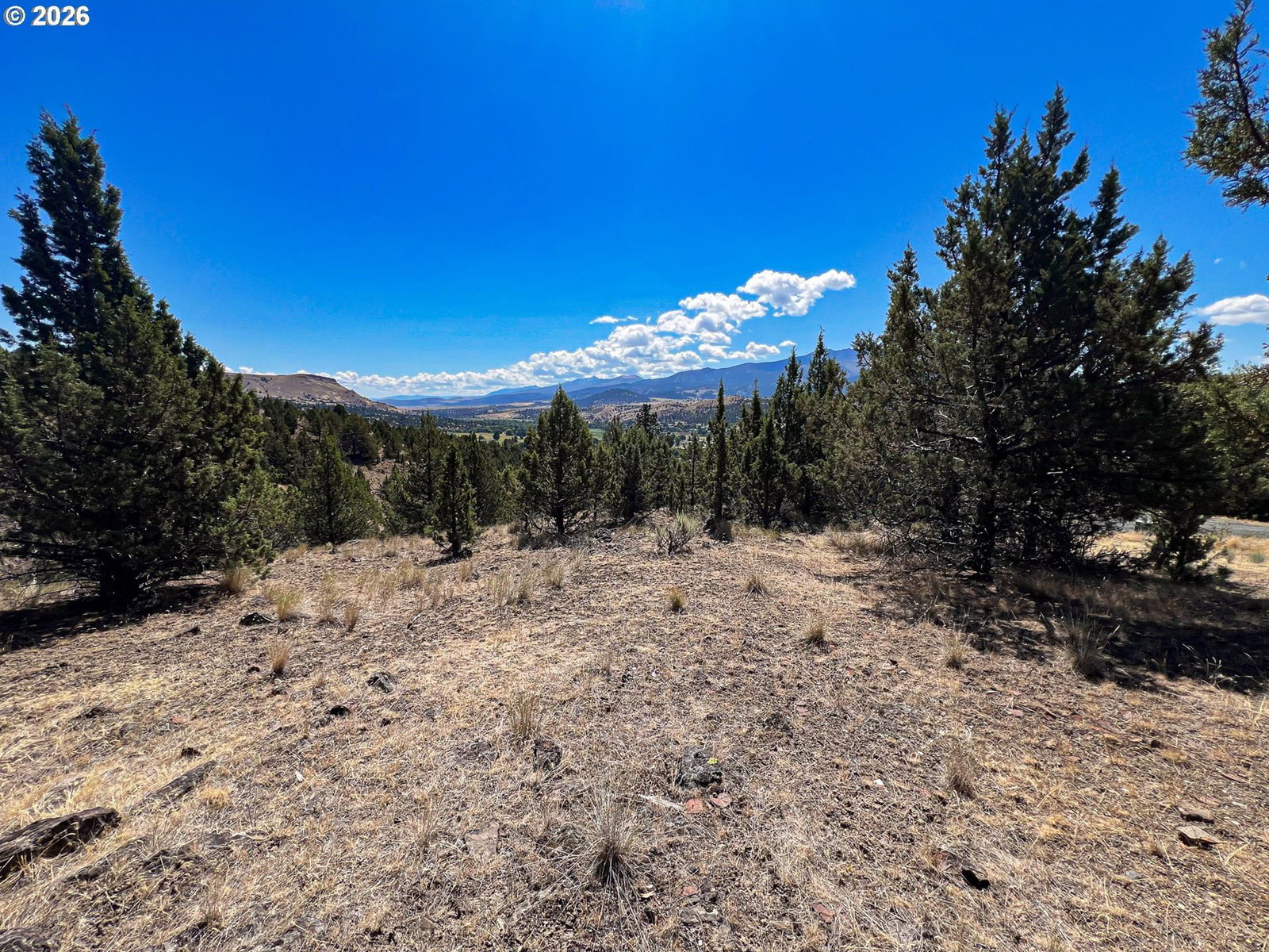 Primary listing photo, 219 VALLEY VIEW DR, John Day, OR, 97845