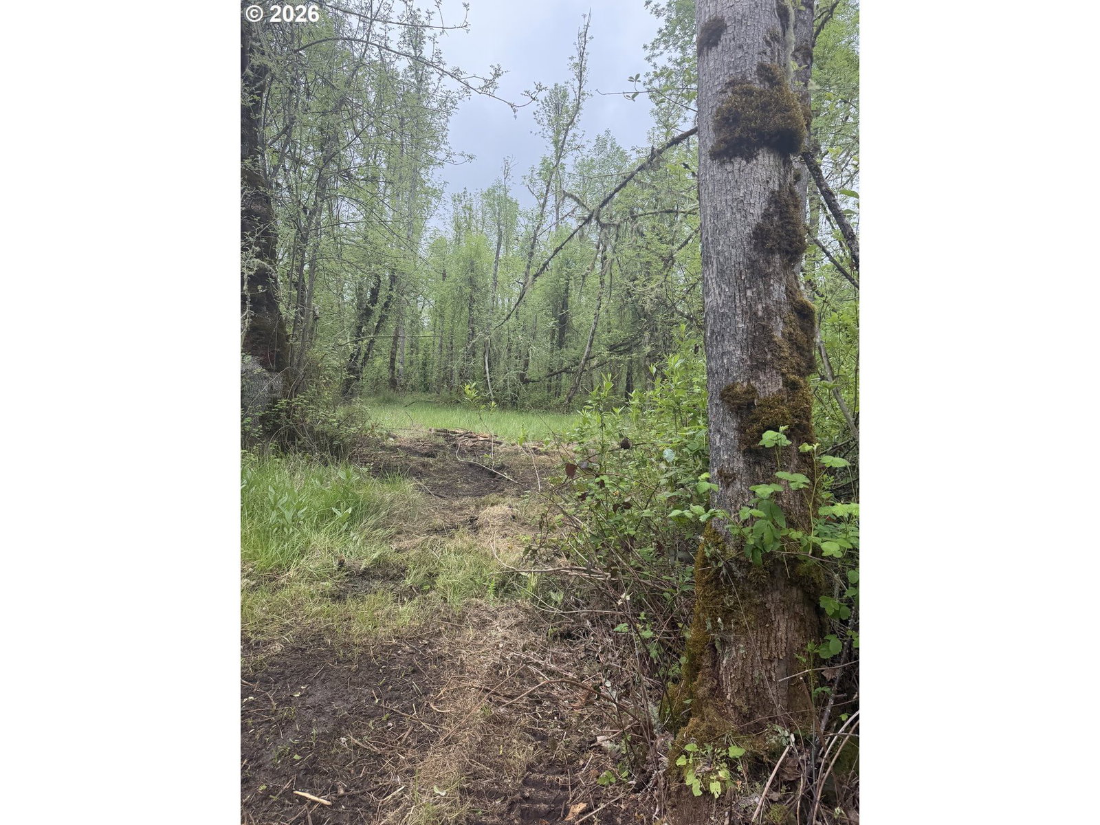 Primary listing photo, 82750 BEAR CREEK RD, Creswell, OR, 97426