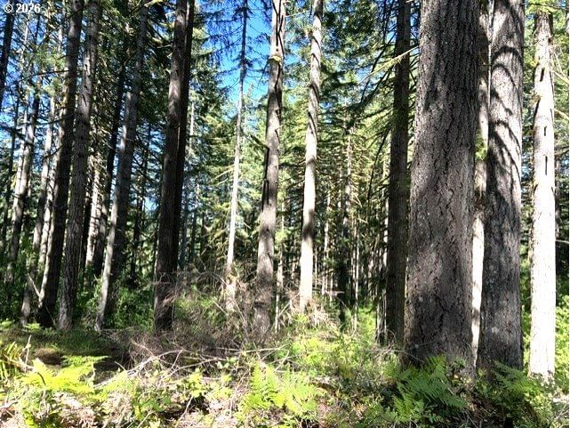 Primary listing photo, Tunnel Tract Parcel2, Banks, OR, 97106