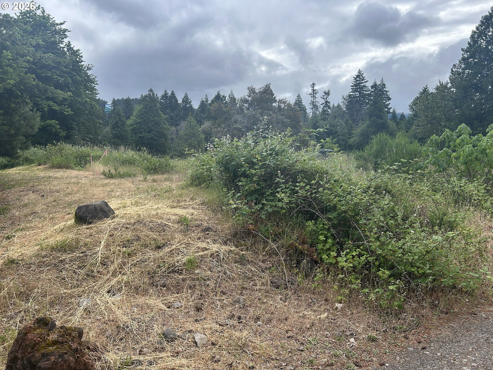Listing photo 1 of 1