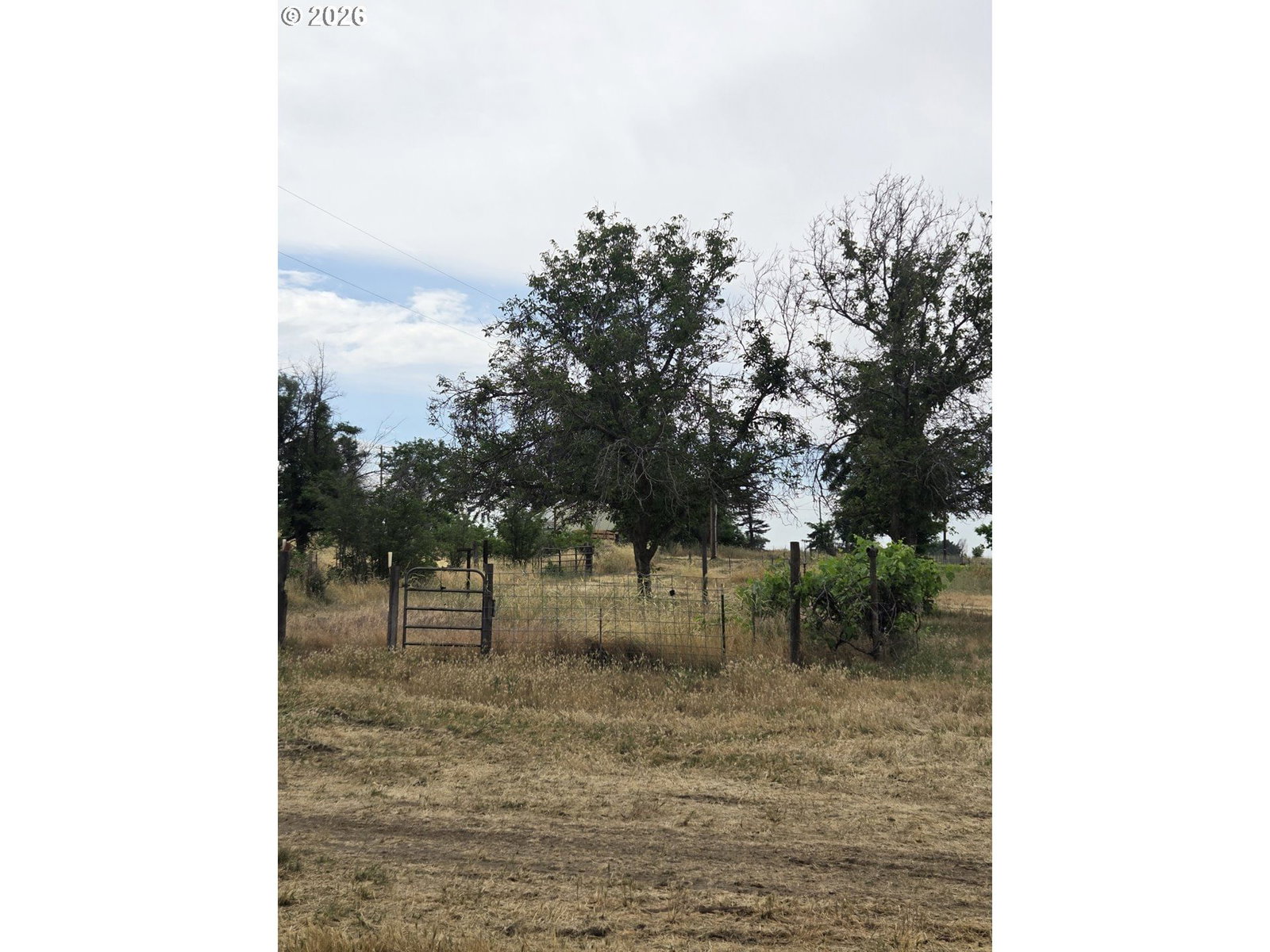 Primary listing photo, 78936 Shoemake RD, Boardman, OR, 97818