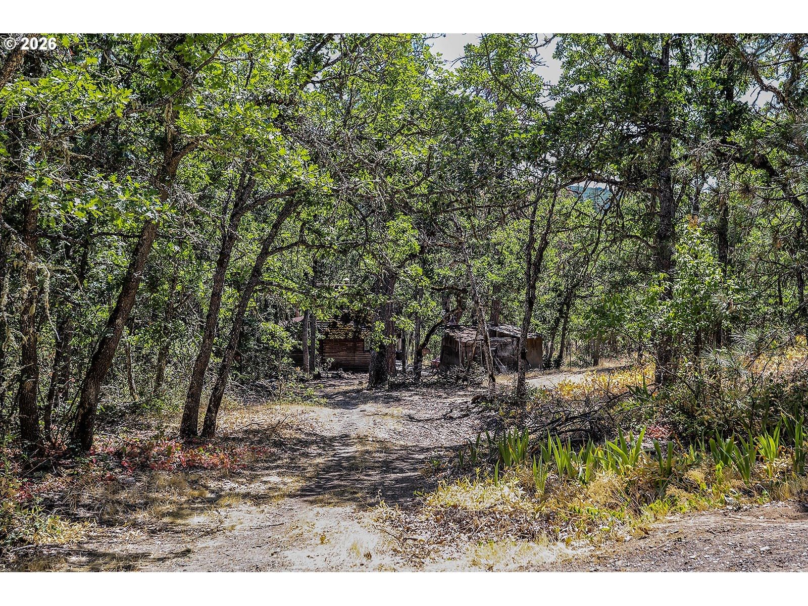 Primary listing photo, 2300 DRY CREEK RD, Mosier, OR, 97040