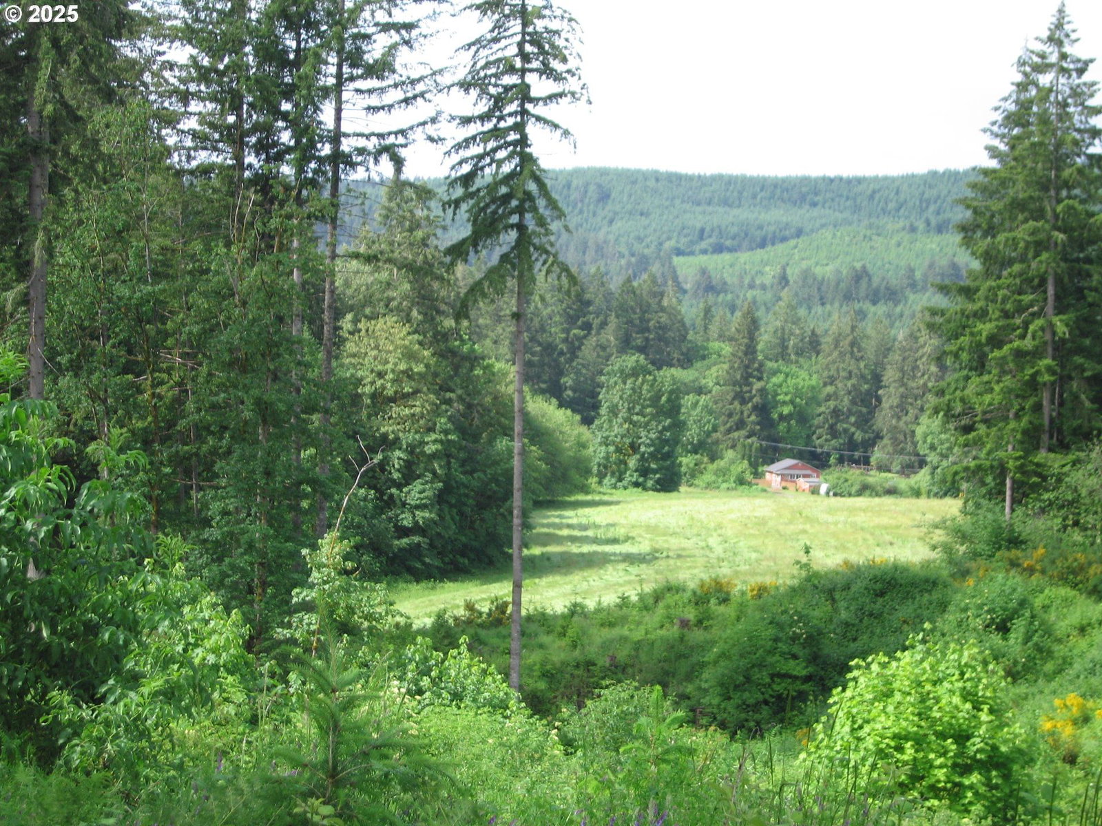 Primary listing photo, 0 NW Dairy Creek RD, North Plains, OR, 97133
