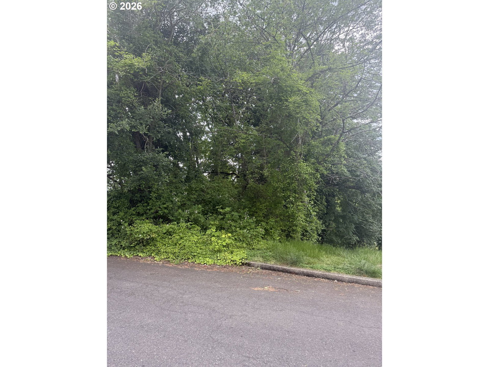 Primary listing photo, 9821 SW 34TH PL, Portland, OR, 97219