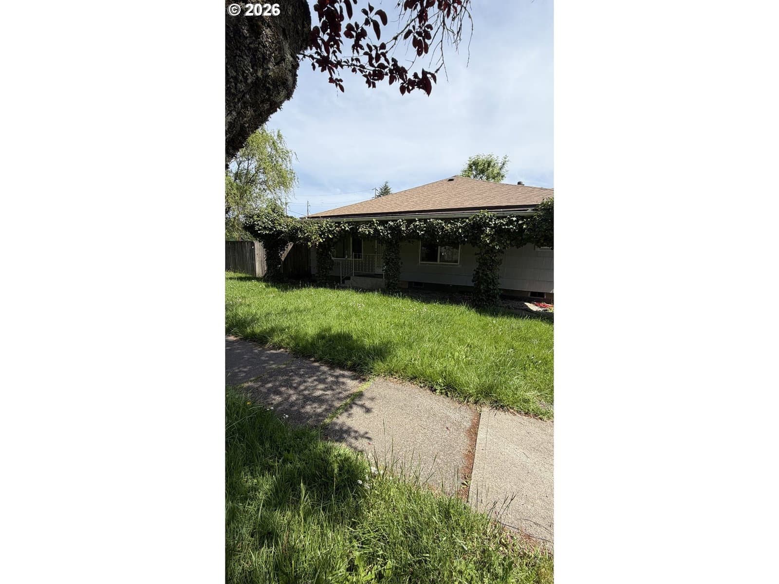 Primary listing photo, 1106 S RIVER ST, Newberg, OR, 97132
