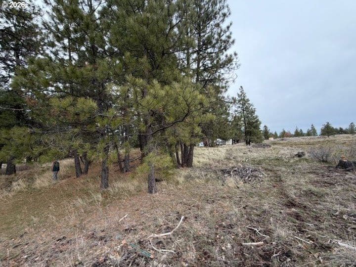 Primary listing photo, 210 Pine St St, Roosevelt, WA, 99356