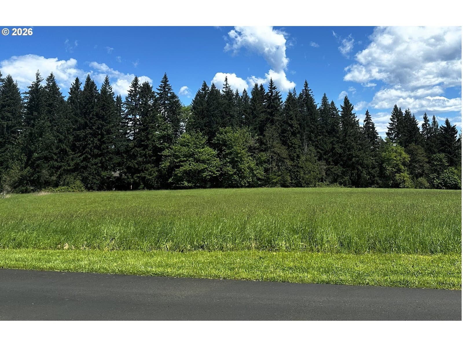 Primary listing photo, 19010 NE 127TH CIR, Brush Prairie, WA, 98606