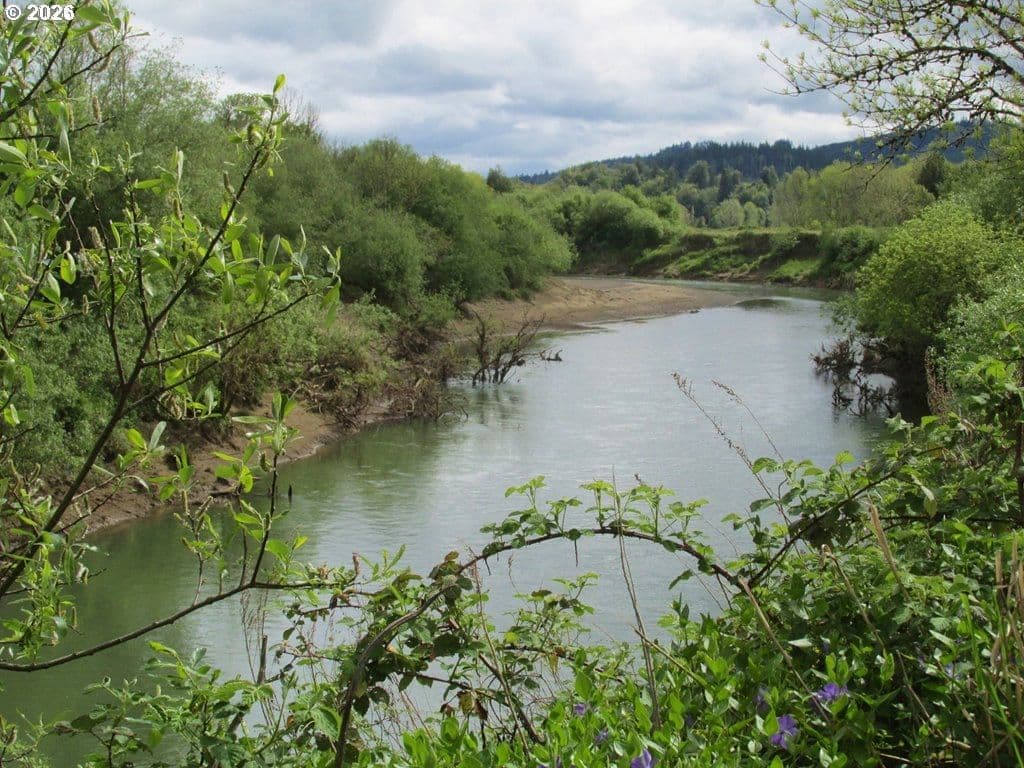 Primary listing photo, 54210 OLD BROADBENT RD, Myrtle Point, OR, 97458