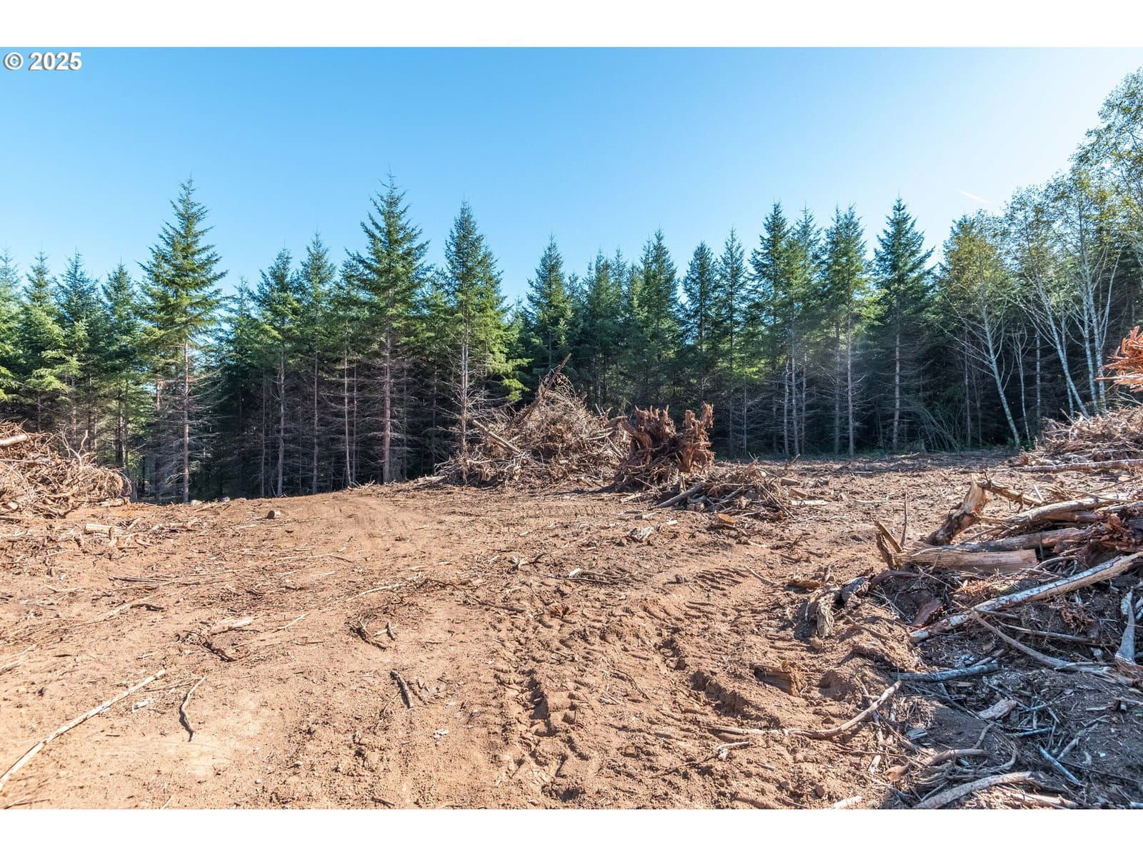 Primary listing photo, Orion, Longview, WA, 98632