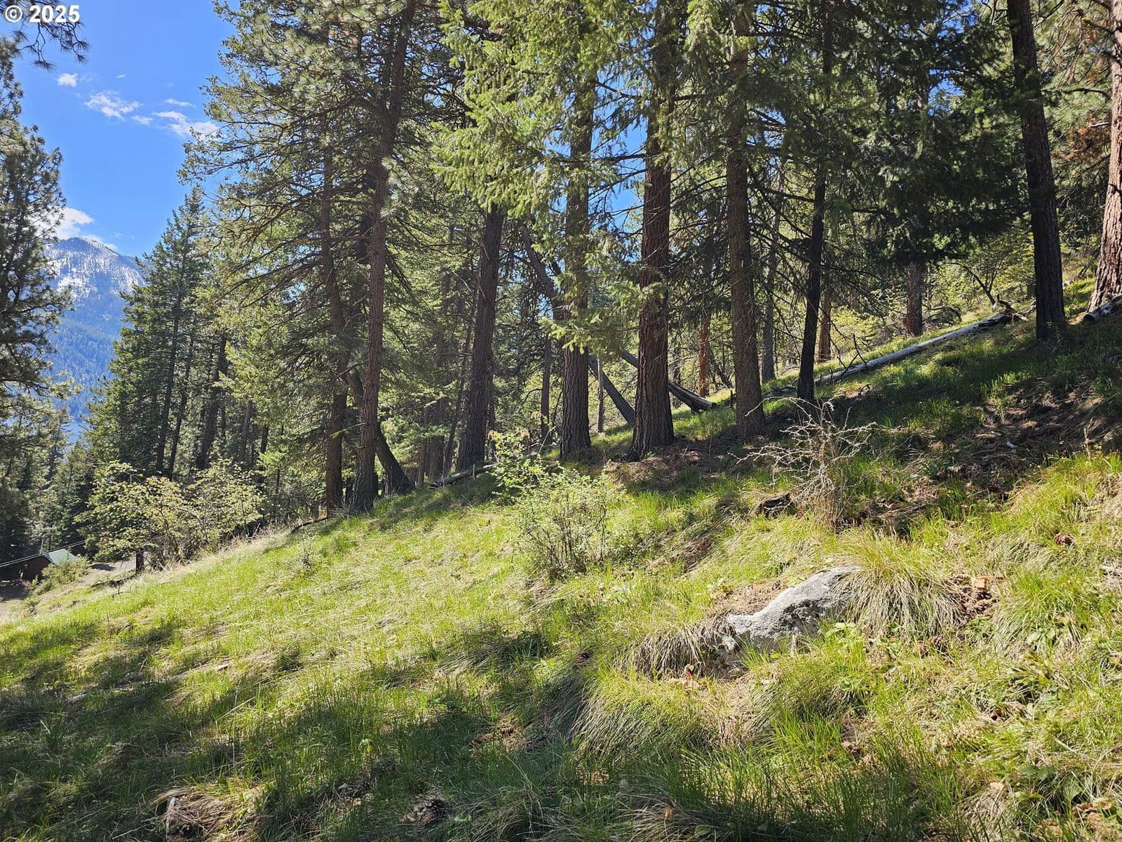 Primary listing photo, Lake Shore RD, Joseph, OR, 97846