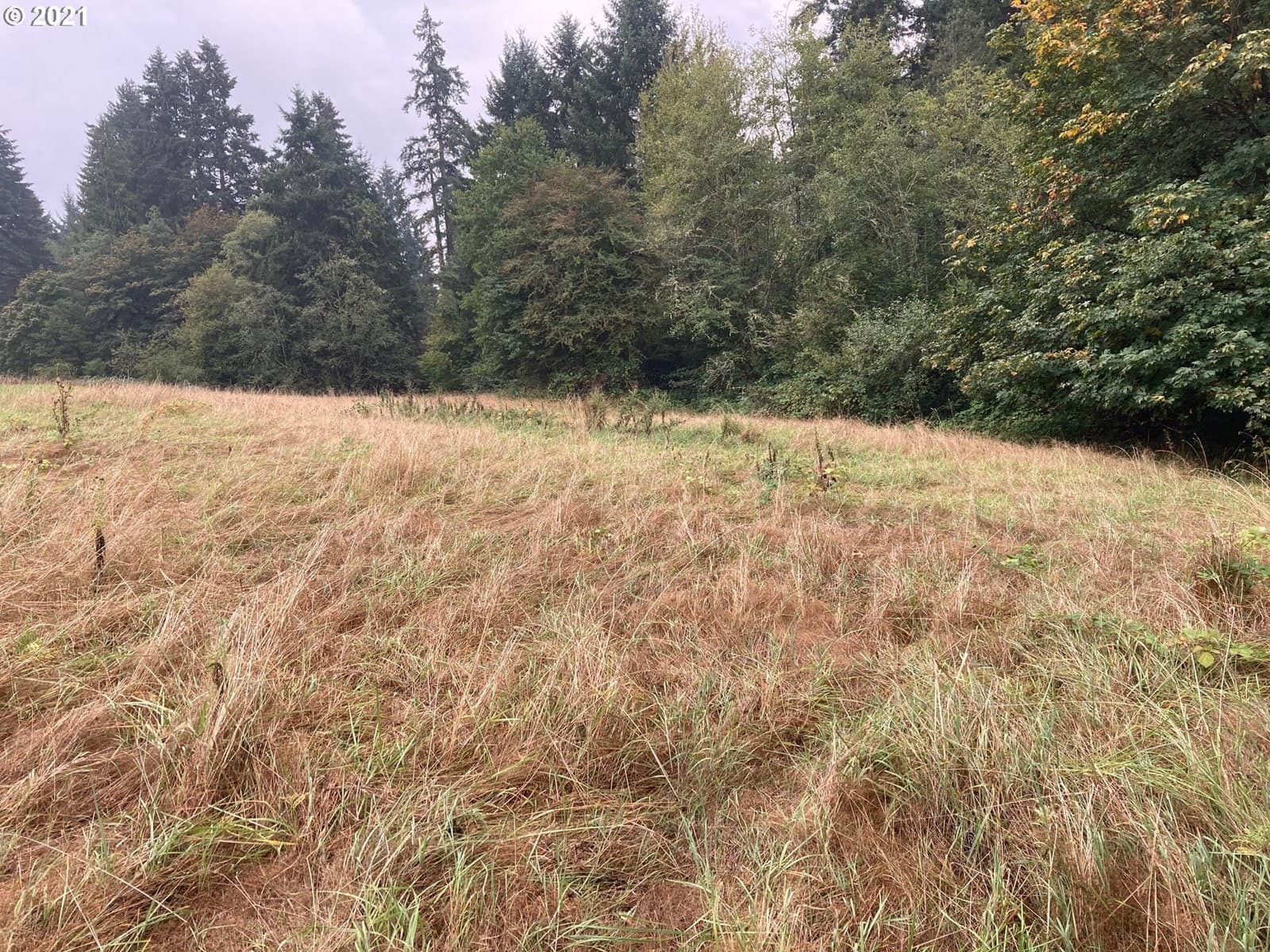 Primary listing photo, 000 NW 166th ST, Ridgefield, WA, 98642