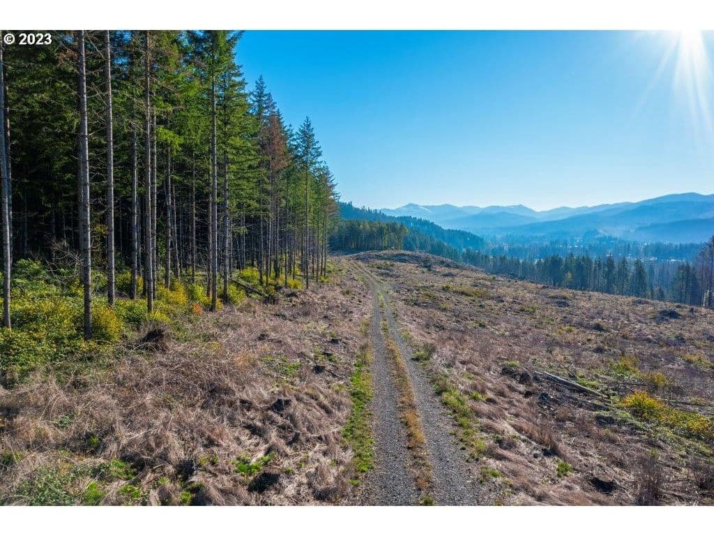 Primary listing photo, 0 SE Pioneer RD, Mill City, OR, 97360