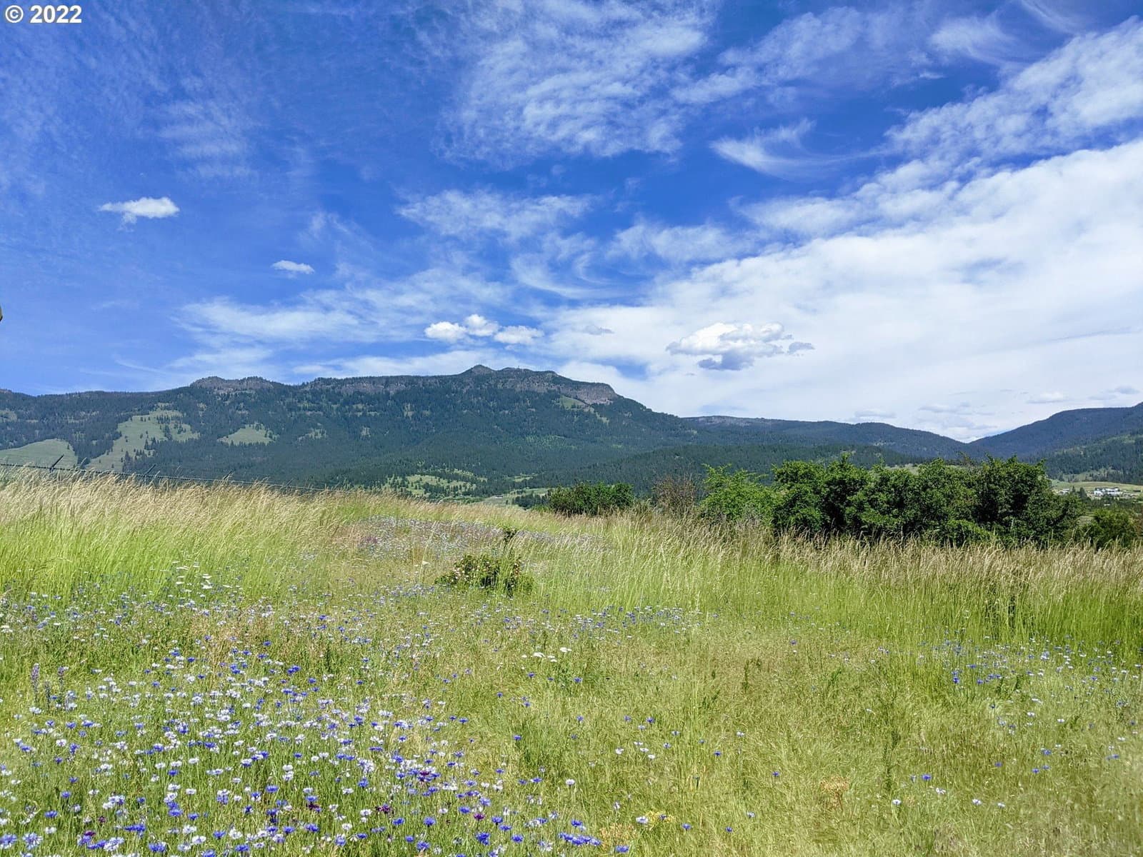 Primary listing photo, 0 Rose Ridge RD, Cove, OR, 97824