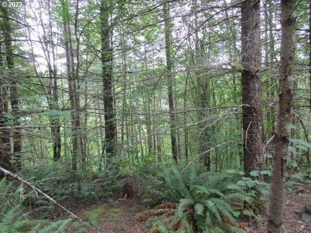 Primary listing photo, 00 Gruber North RD, Estacada, OR, 97023