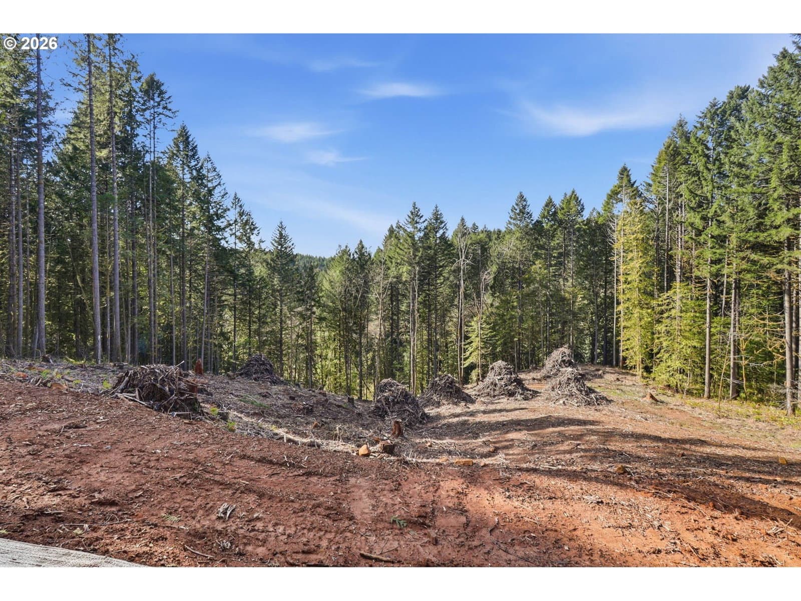 Primary listing photo, 0 NW Green Mountain Rd. #1, Banks, OR, 97106