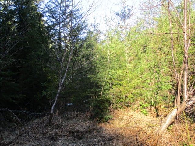 Primary listing photo, 0 SE Harvey RD, Estacada, OR, 97023