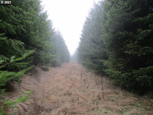 Primary listing photo, 00 Buck Hollow RD, Sheridan, OR, 97378