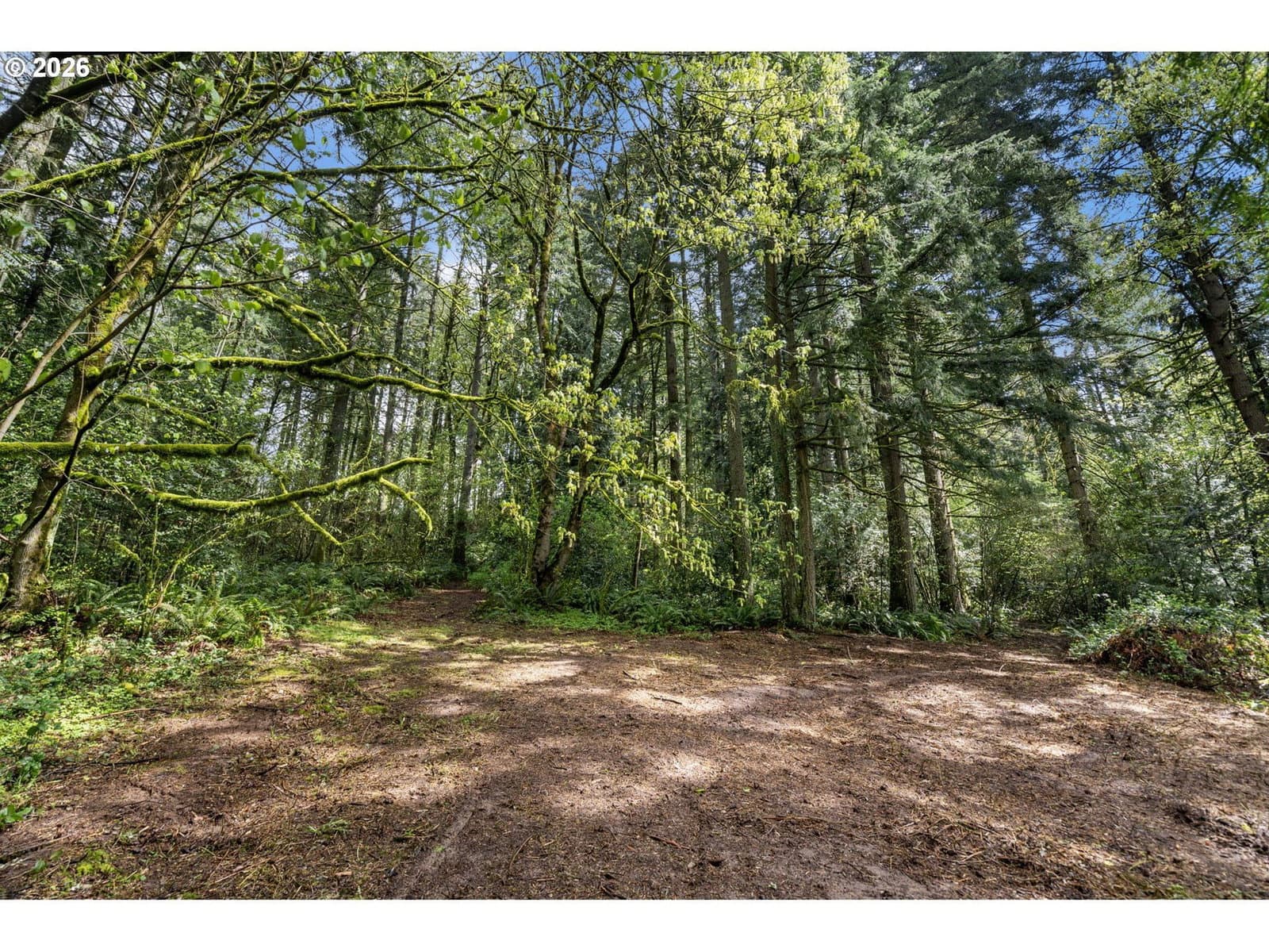 Primary listing photo, 0 NE 72nd AVE, La Center, WA, 98629