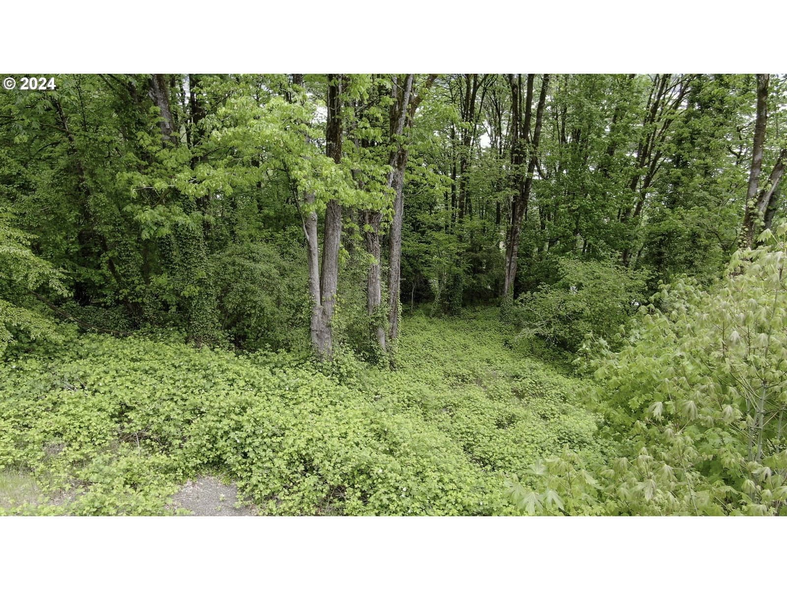 Listing photo 1 of 1