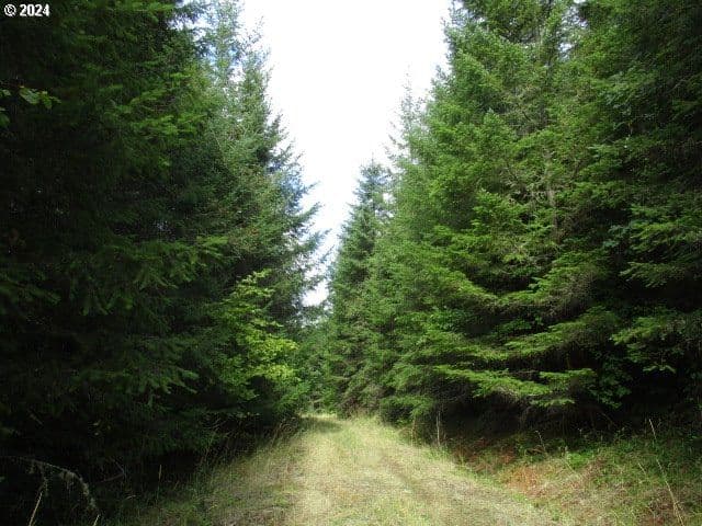 Primary listing photo, 0 Bellinger Scale (1) RD, Lebanon, OR, 97355