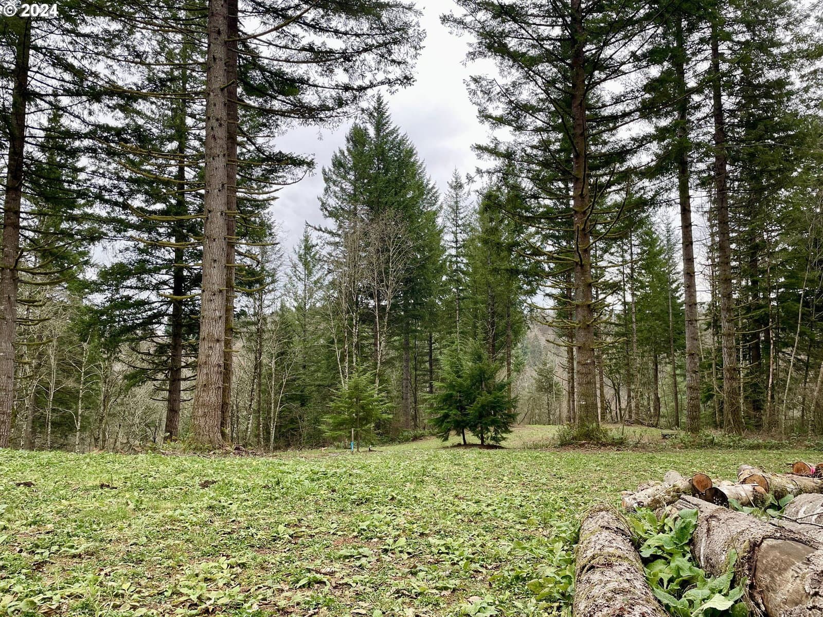 Primary listing photo, NE 24th ST, Washougal, WA, 98671