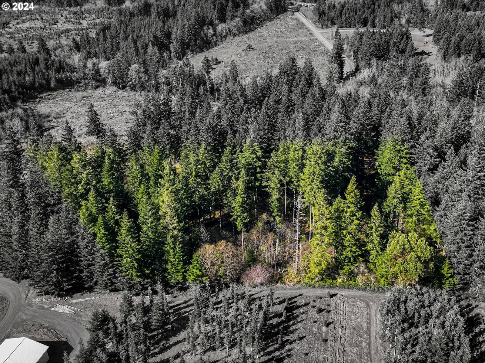 Primary listing photo, 19860 Sharon Tony WAY SE, Silverton, OR, 97381