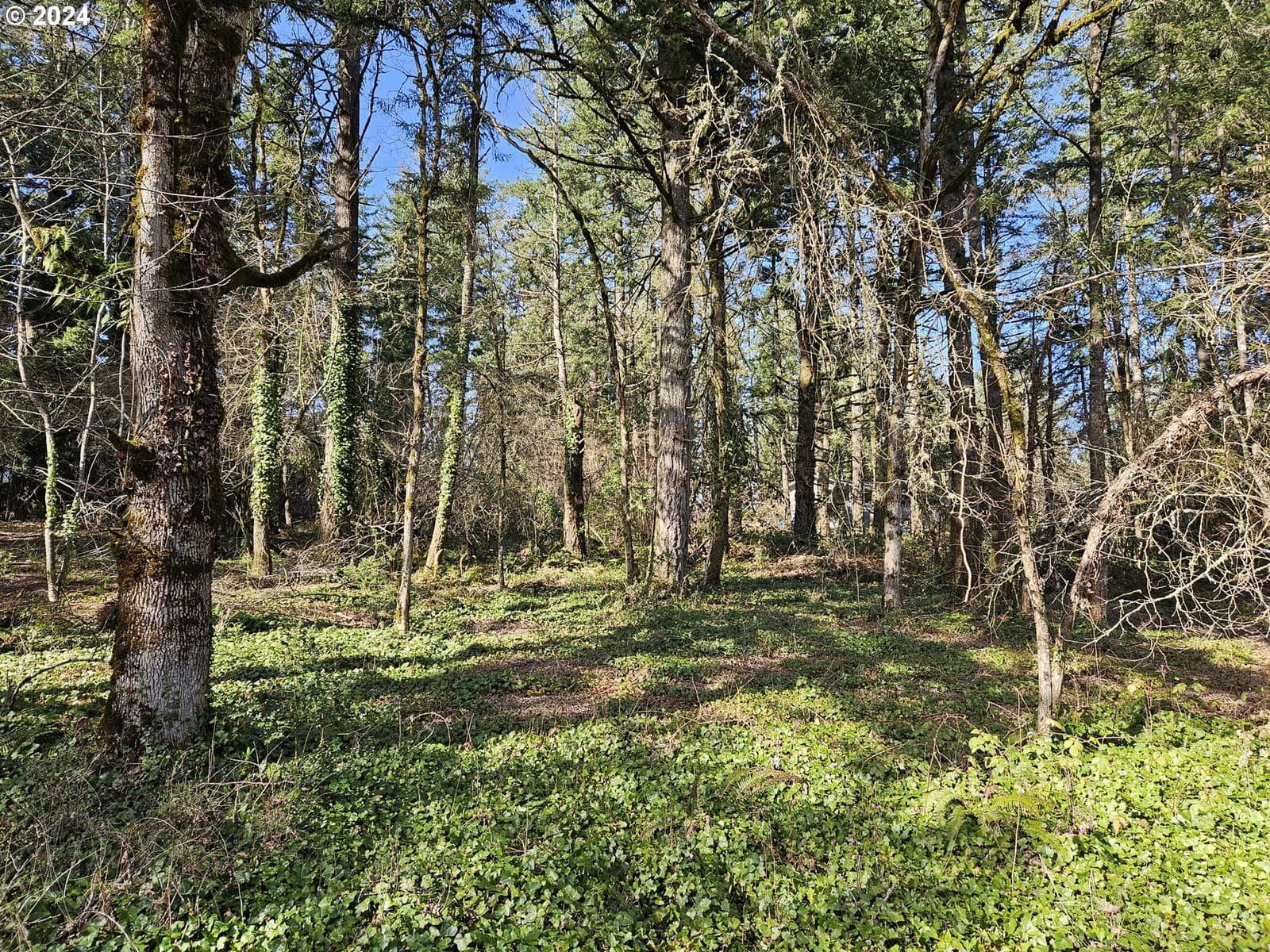 Primary listing photo, 2700 Miller LN NW, Albany, OR, 97321
