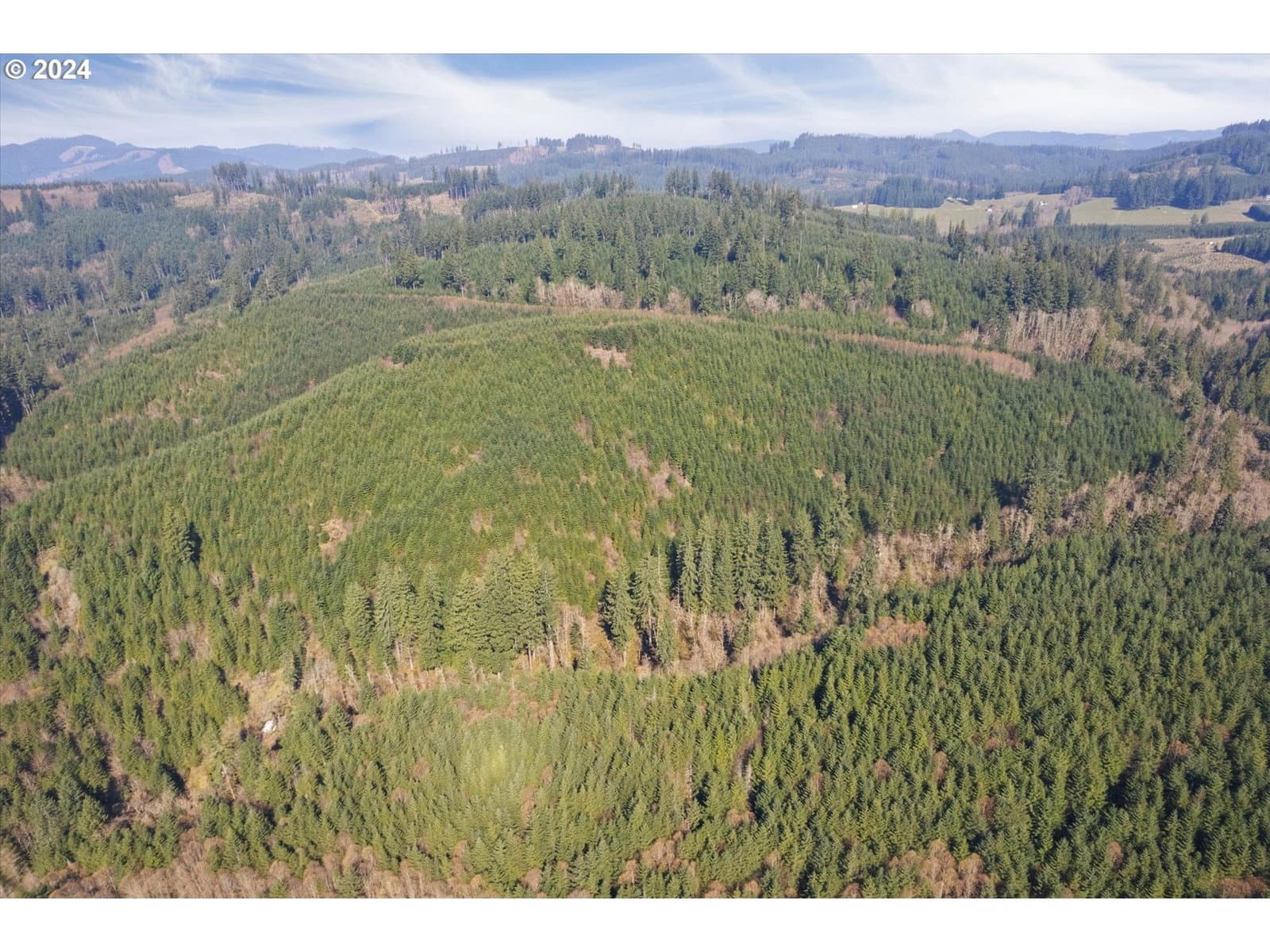 Primary listing photo, 0 NE Cedar Mist RD, Amboy, WA, 98601